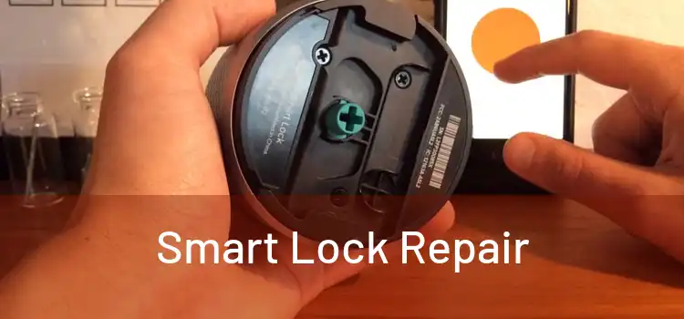 Smart Lock Repair
